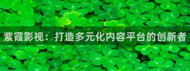 星空影视网站：紫霞影视：打造多元化内容平台的创新者