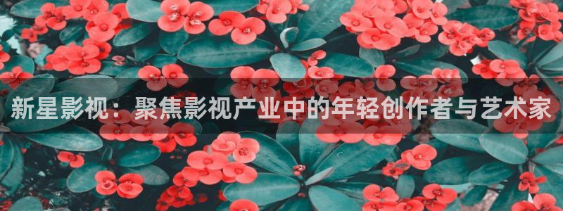 星空影院免费版app：新星影视：聚焦影视产业中的年轻创作者与艺术家