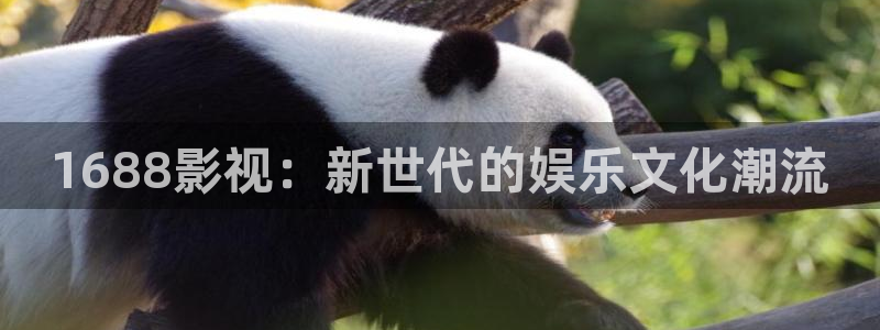 星空影院在线免费看：1688影视：新世代的娱乐文化潮流