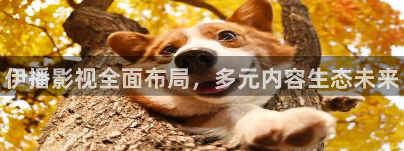 星空影视最新电视剧全集免费观看
