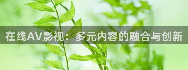 雁回时星空影院免费观看