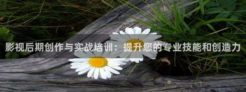 星空影城排片