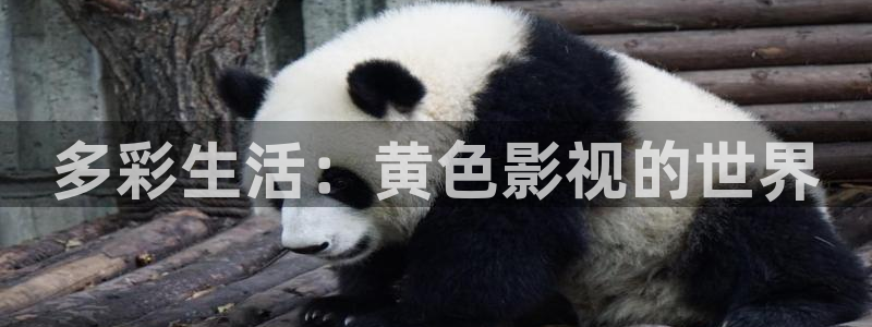 星空影视最新电视剧全集免费观看：多彩生活：黄色影视的世界