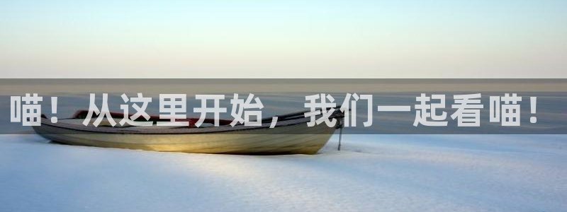 星空影院电影网：喵！从这里开始，我们一起看喵！