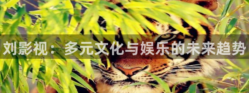 星空影院手机版免费：刘影视：多元文化与娱乐的未来趋势