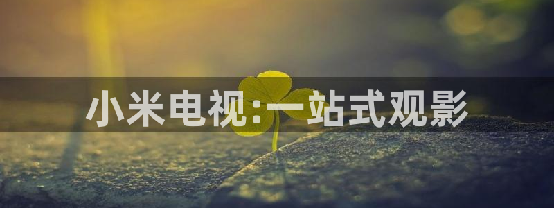 星空影院在线观看全集免费高清：小米电视:一站式观影