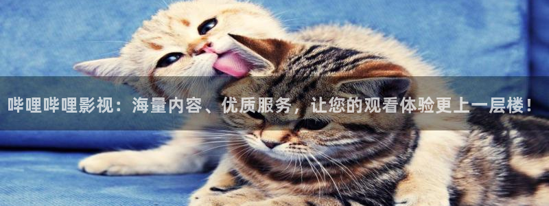 星空影院电视免费观看